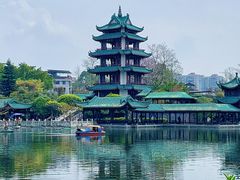-桂湖森林公园