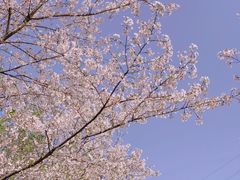 -龙宫洞风景区