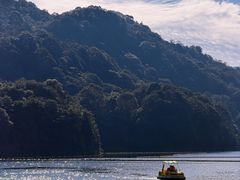-广州市石门国家森林公园