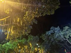 -广州长隆国际大马戏