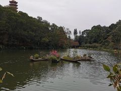 -梧桐山风景名胜区