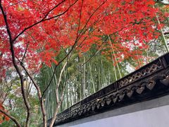-秋霞圃