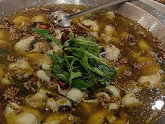 -巴特餐饮6加1音乐餐吧·新疆菜