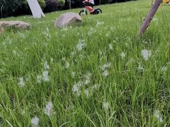 -厦门国家会计学院