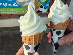 -神户市立六甲山牧场