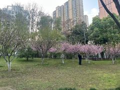 -堤角公园