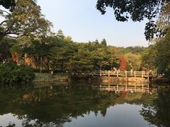 -云溪植物园