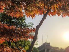 -郑和公园