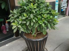 -韵道养生.足道.按摩.SPA(古美店)