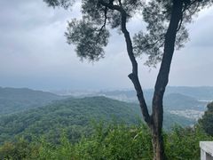 -广州市白云山风景名胜区