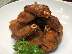 -碧丽宫大酒店(召稼楼店)