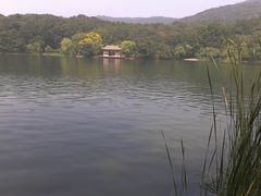 -紫霞湖公园
