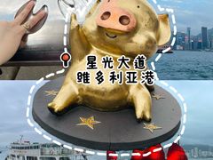 -星光大道