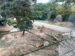 -深圳野生动物园