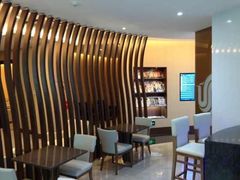 -虹桥机场国航贵宾室v8