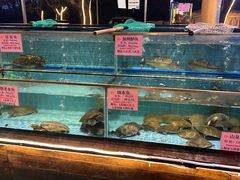 -荔城生鲜盛宴(番禺旗舰店)