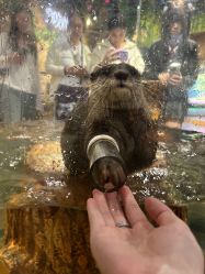 -Zoolung Zoolung动物主题公园(海信广场店)