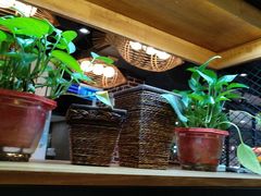 -肥鱼屯活鱼锅(惠工街店)