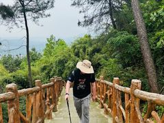 -铁山坪森林公园