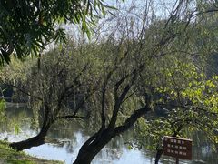 -贵阳市花溪国家城市湿地公园