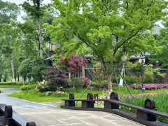 -西山漾湿地公园