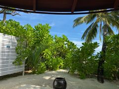 -中央格兰德岛温泉度假酒店 - 全包