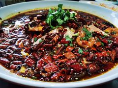 -君临七星生态酒店