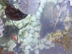 -小饕荟养生火锅(仁和·熙春郡店)