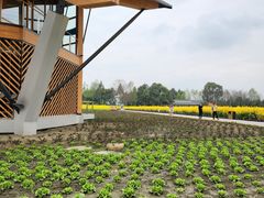 -中国天府农业博览园