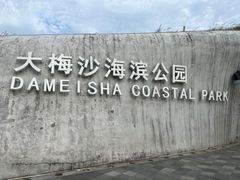 -大梅沙海滨公园-停车场