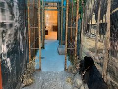 -北京动物园-畅观楼