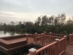 -芒洲湿地公园