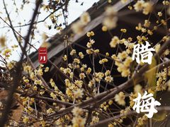 -无锡梅园公园