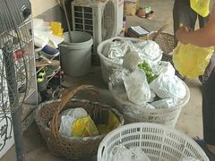 -马陆小张葡萄园农家乐