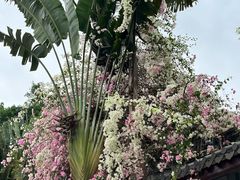 -深圳国际园林花卉博览园