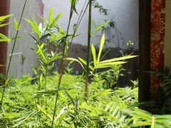 -海底捞火锅(龙湖三千集店)