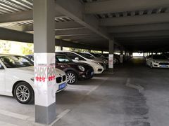 -上海植物园·停车场