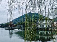 -黄贤森林公园