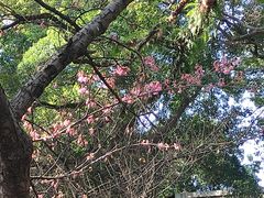 -乌山风景区