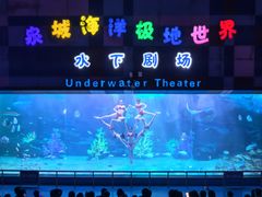 -泉城欧乐堡海洋极地世界