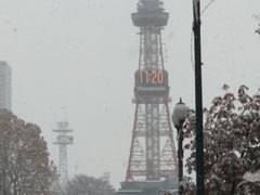 -大通公园
