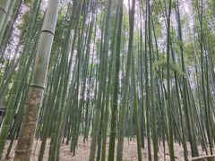 -汇龙潭