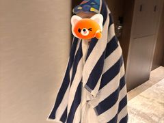 -新加坡乌节希尔顿酒店