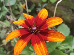 -金堂县云顶石城风景区