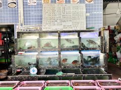 -众味海鲜大排档·活海鲜·潮汕味(南澳店)