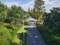 -昆山城市生态森林公园