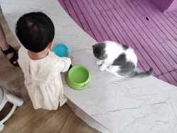 -萌宠亲子动物乐园(槐房万达店)