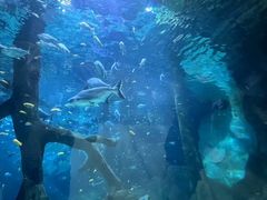 -福州罗源湾海洋世界旅游区