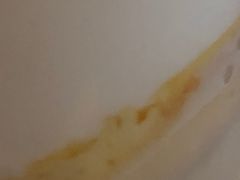 -猫里有甜
