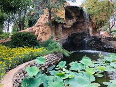 -静之湖湖畔餐厅